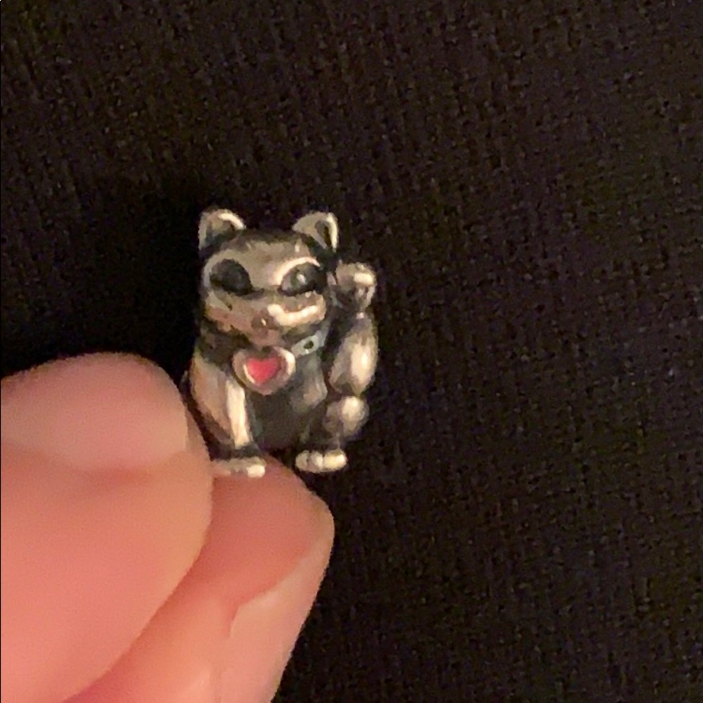 Cat pandora charm